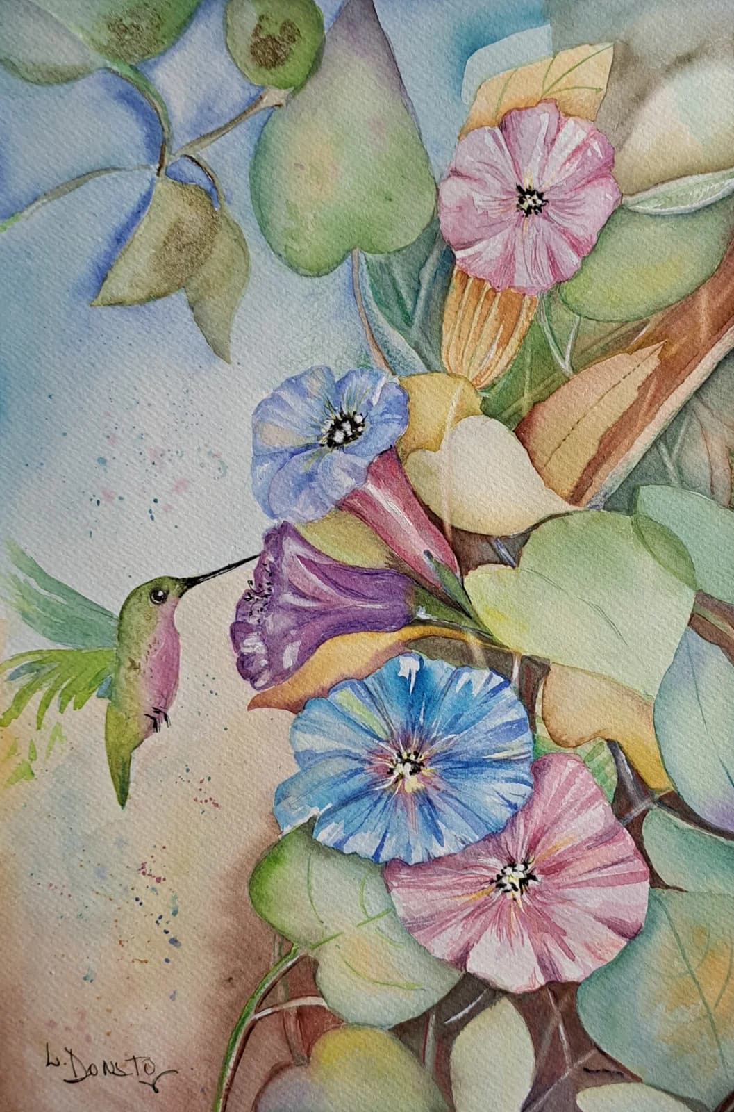 Campanita con colibrí, acuarela, 30 x 40 cm