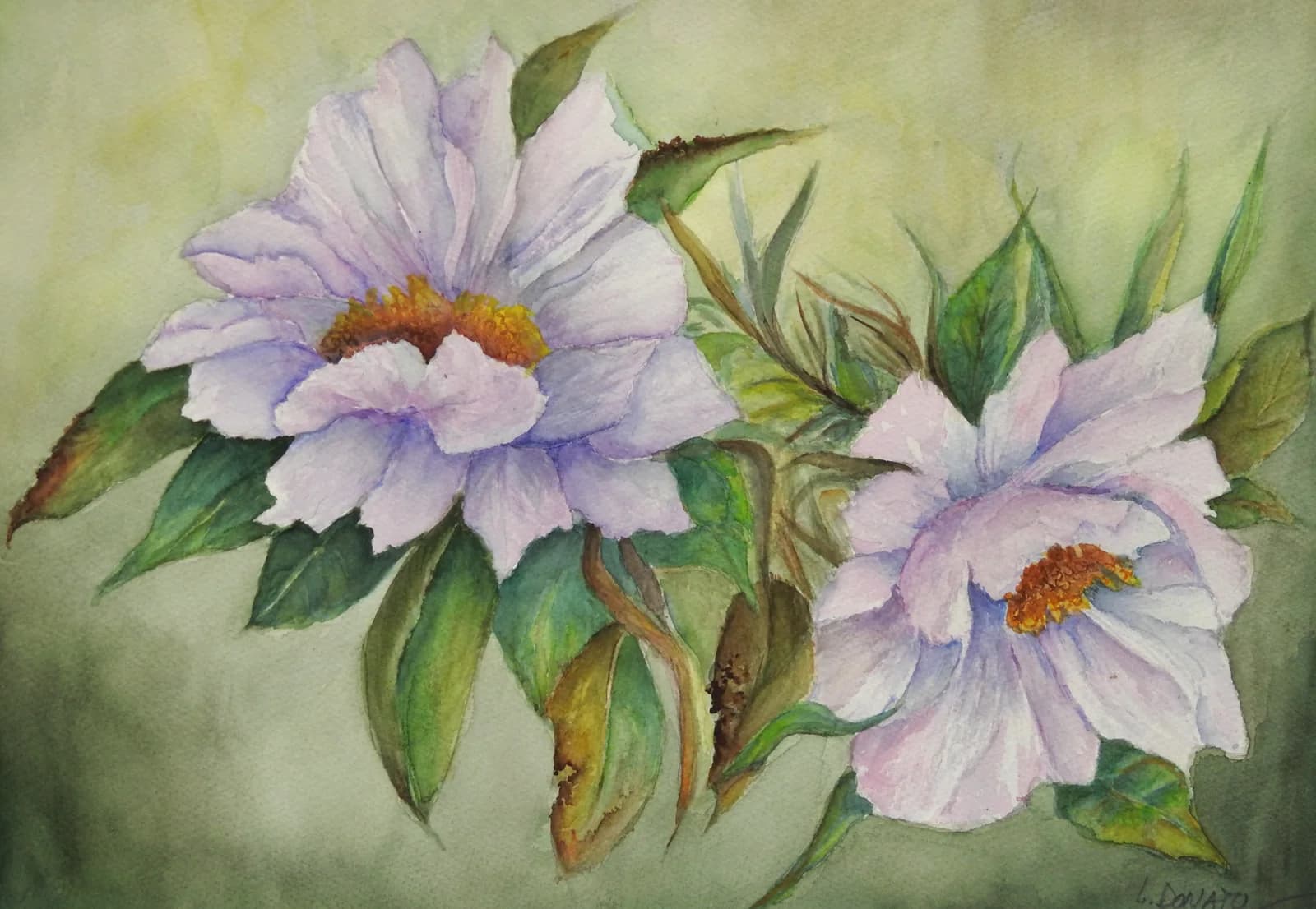 Flores, acuarela, 50 x 40 cm