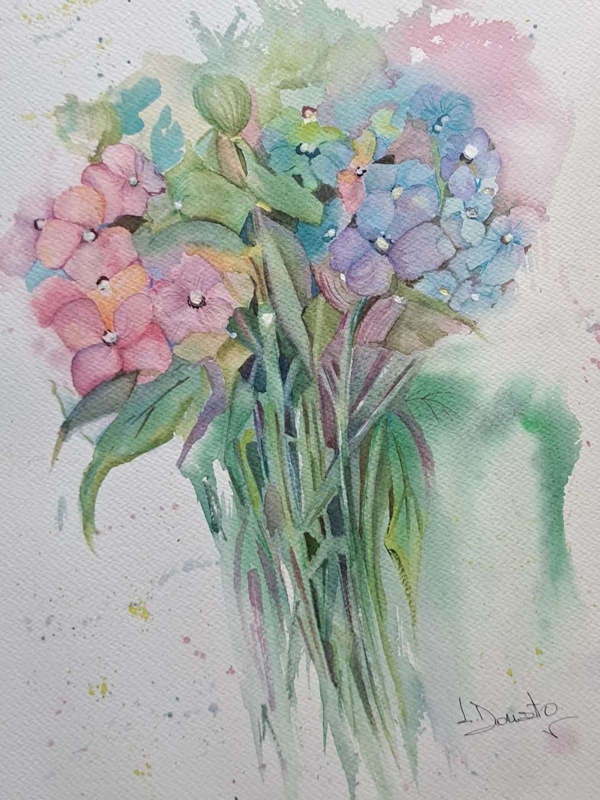 Hortensias, acuarela, 30 x 40 cm
